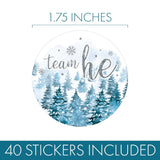 Baby It'S Cold Outside Gender Reveal, Winter Evergreen Trees Team He Or Team She Stickers - Pink Blue Snow Themed Party Decorations - 40 Count