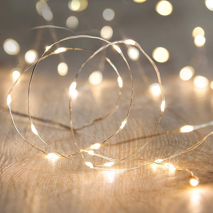 10FT Battery Operated Fairy String Lights 30 LED Warm White Firefly Lights for Wedding Party Home Garden Decor