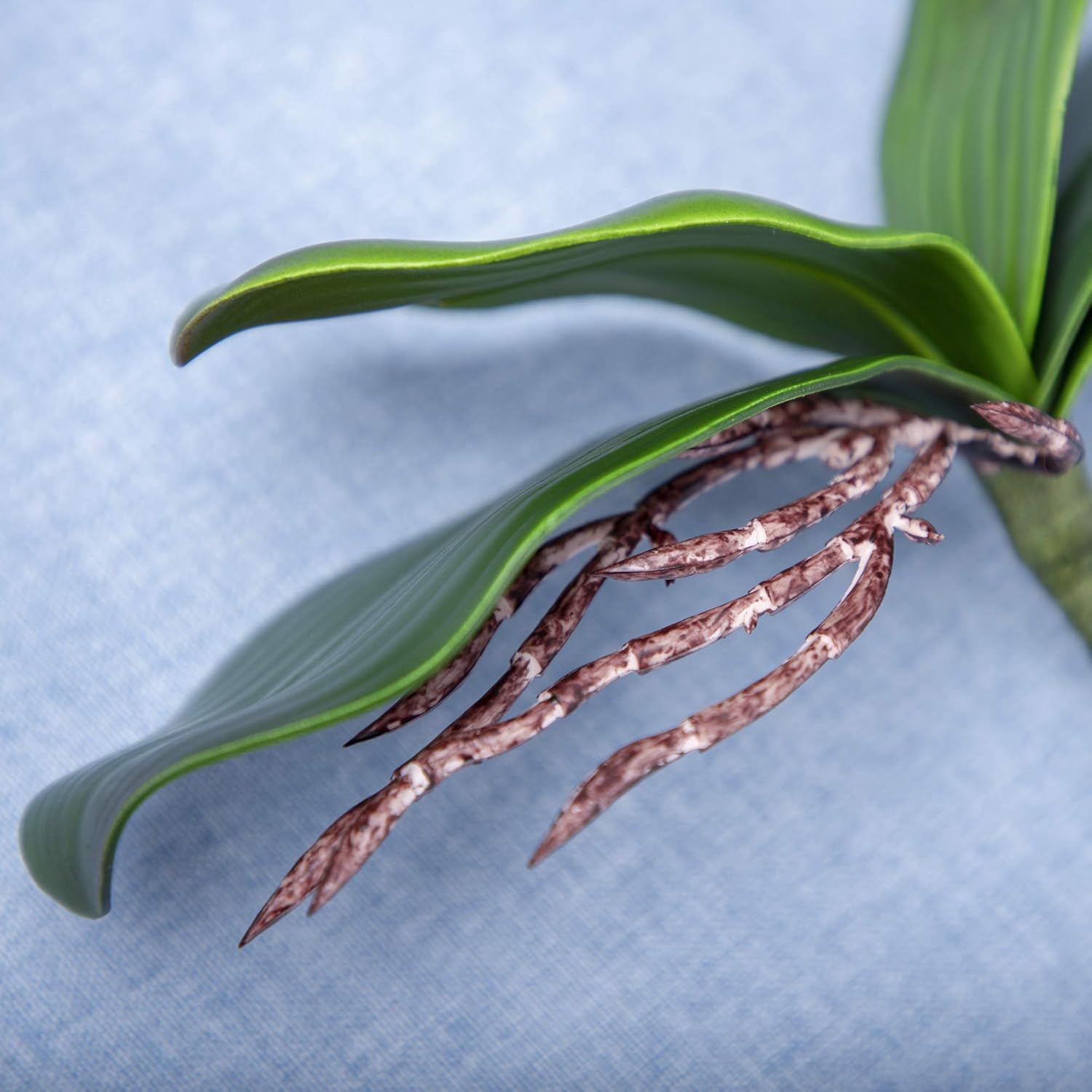 Orchid Leaves Artificial Phalaenopsis Stems Leaf Faux Cymbidium Flower Foliage Green Real Touch Latex Bulk 8 Inches 2Pcs