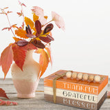 Thanksgiving Wooden Tiered Tray Decor Plaid Faux Decorative Stacked Books Bundle Thankful Grateful Blessed Wooden Block Sign With Beads For Fall Farmhouse Rustic Kitchen Home Table Decoration