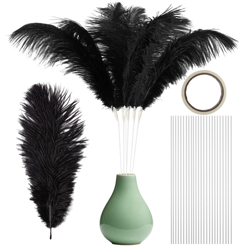 Topshopicks Pack Of 24 Natural Black Ostrich Feathers Bulk 10-12 Inches With 2