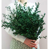 20+ Small Branches Dried Eucalyptus Preserved Greenery Stems, 7-14 Pcs 17'' 4Oz Natural Real Eucalyptus Bundles For Shower, Green Leaves Plant For Arrangement, Wedding, Home, Office Decor