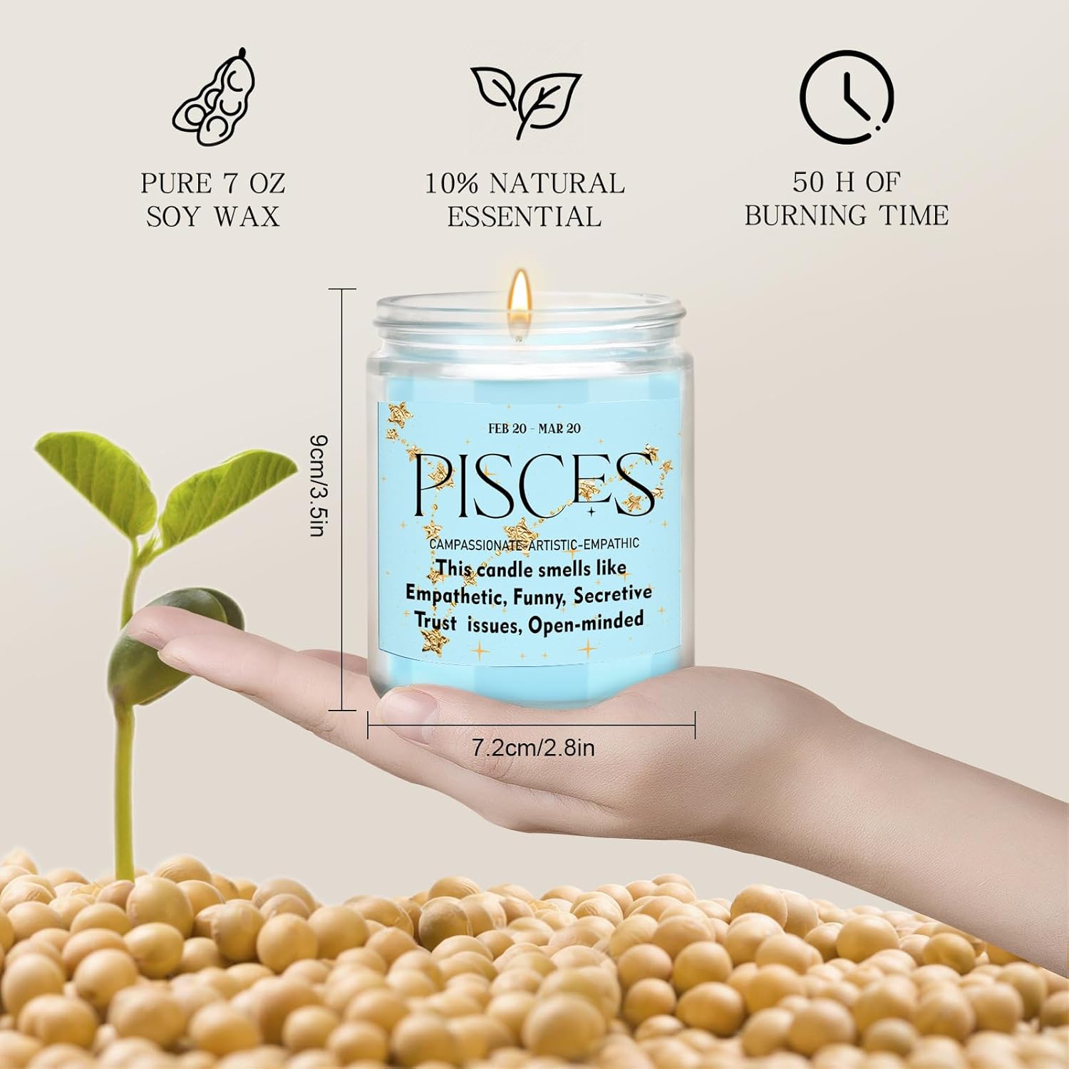 12 Constellations Scented Pisces Zodiac Sign Gift 7Oz Sea Mint Scented Candle Jar Candle