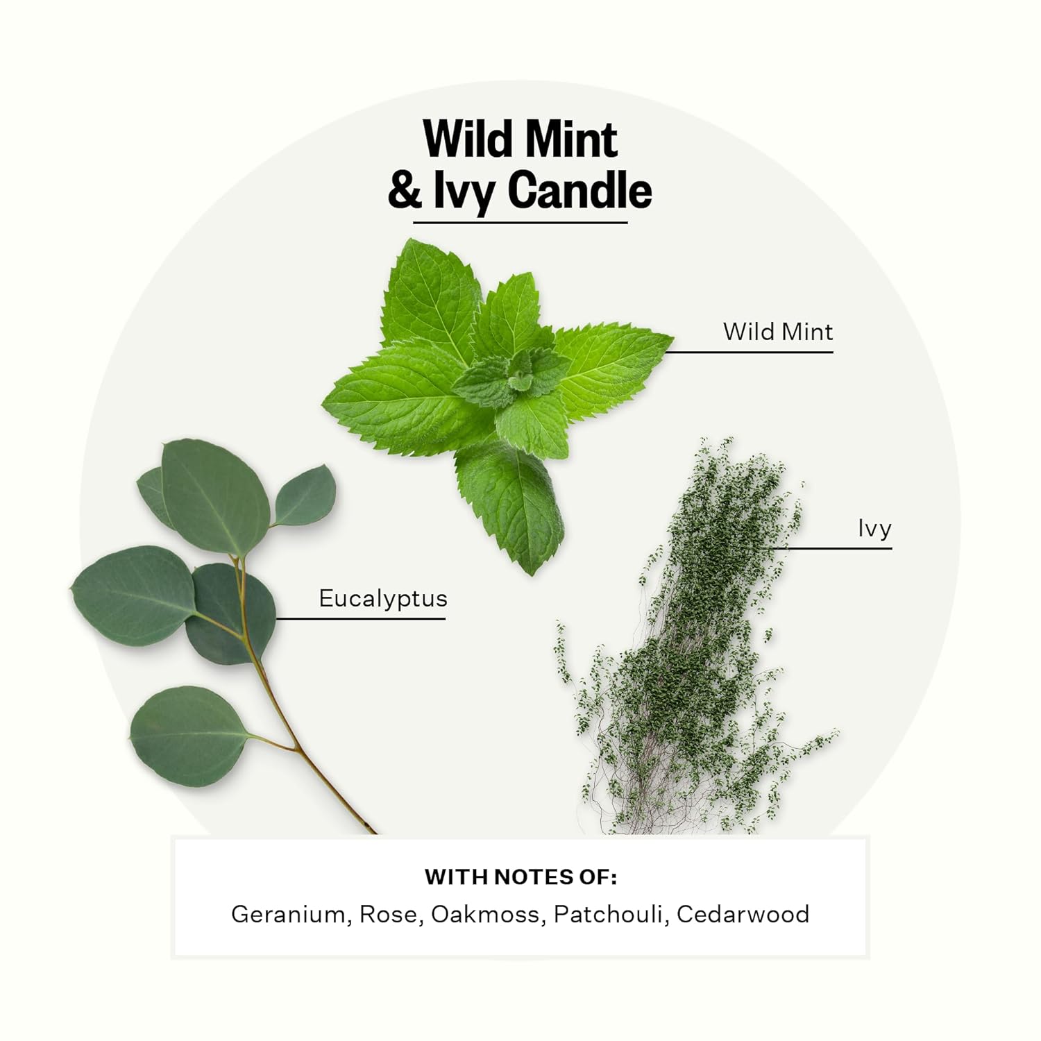 Signature Scented Candles For Home, Wild Mint & Ivy - 10.5 Oz - Soy Wax, Non Toxic, Large Jar White - Luxury Candle Gifts For Women & Men - Eucalyptus, Patchouli, Cedarwood, And Rose