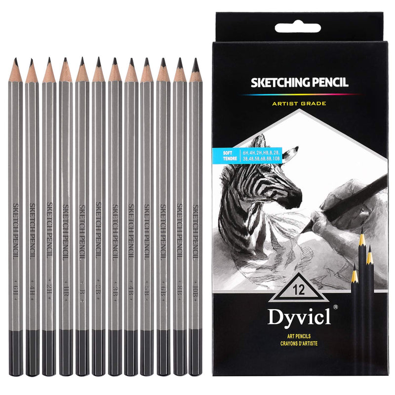 Professional Drawing Sketching Pencil Set - 12 Pieces Drawing Pencils 10B, 8B,