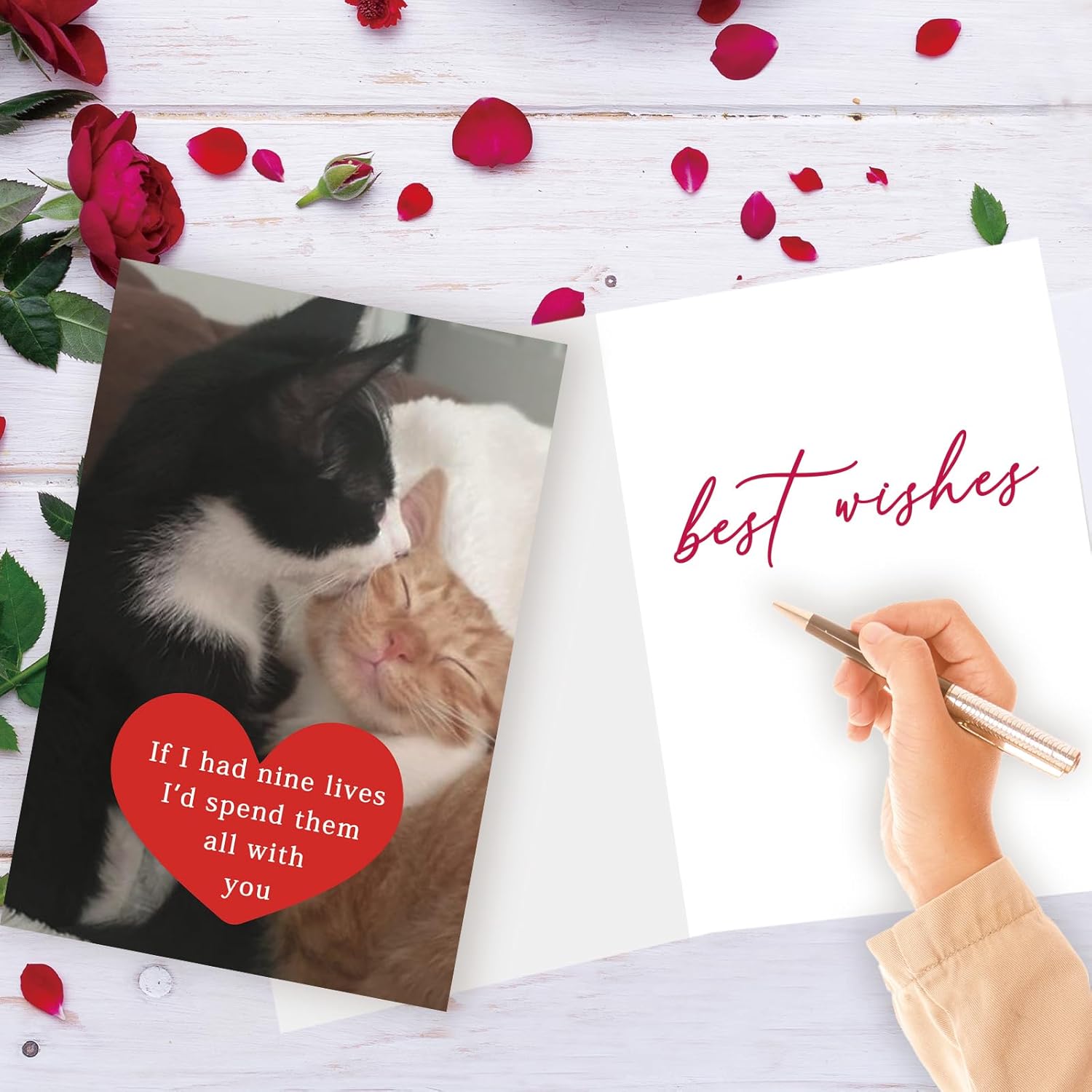 Funny Cat Valentines Day Gifts For Him Her, Birthday Card For Men Women, Sweet Anniversary Cards Cat Lovers