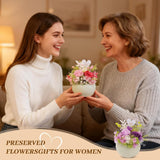 Preserved Flowers Arrangement In Mini Ceramic Vase Real Touch Forever Roses Gifts For Women (Pink)