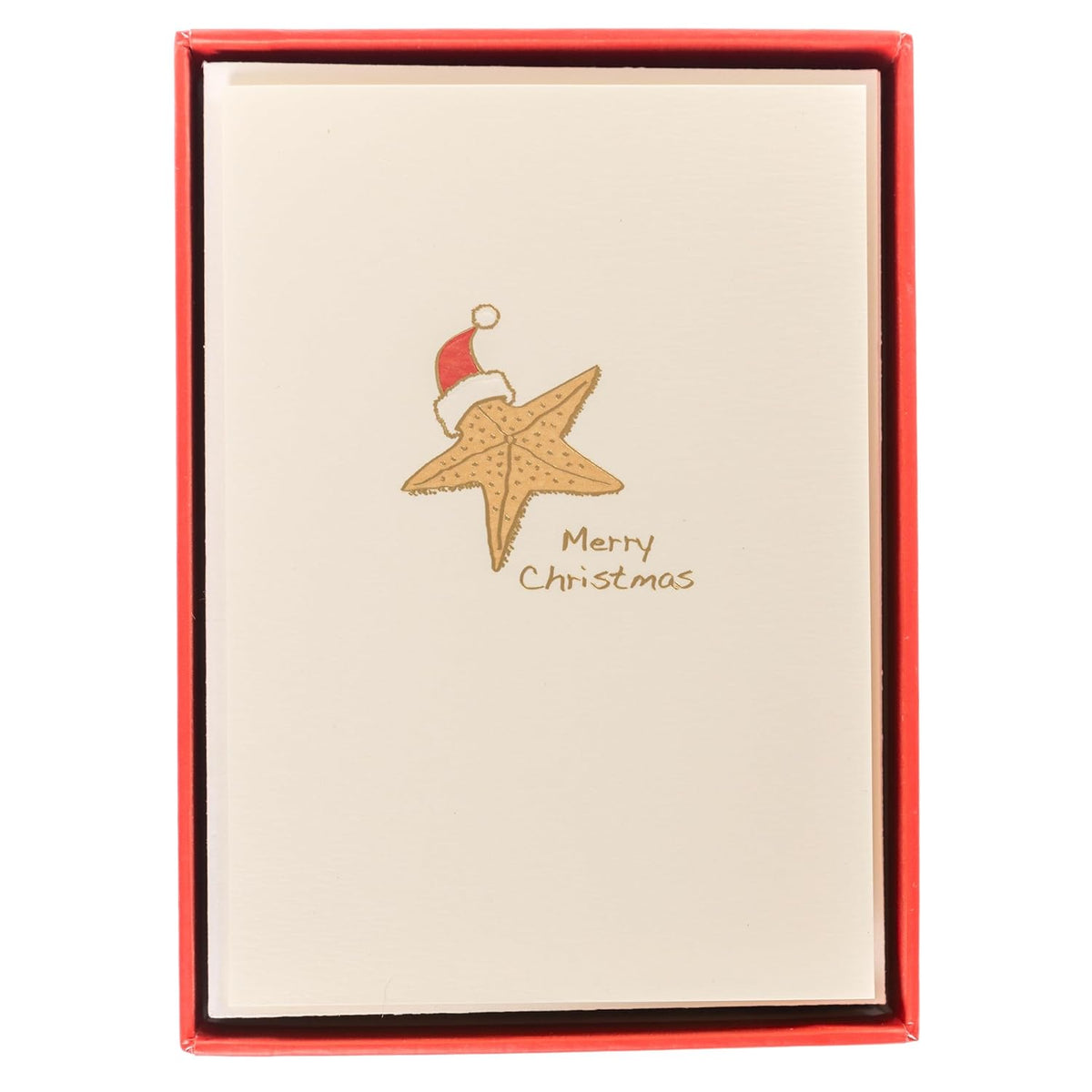Starfish Christmas Cards, Pack Of 15 Cards With Envelopes, Blank Inside, La Petite Press Collection Boxed Set, 3.25" X 4.75"