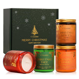4Pack/28Oz Christmas Soy Candles Gift Set Non-Toxic Aromatherapy Scented Holiday Candles For Chritmas Gifts Home Decor, Luxury Vinilla/Apple/Eucalyptus/Rose Jar Candle, Winter Candle Set For Women Men