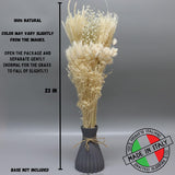 Dried Flower Bouquet & Floral Mix Premium Hand-Packed Natural Dried Plants For Home Decor, Bouquets, And Arrangements – Made In Italy (Blue)