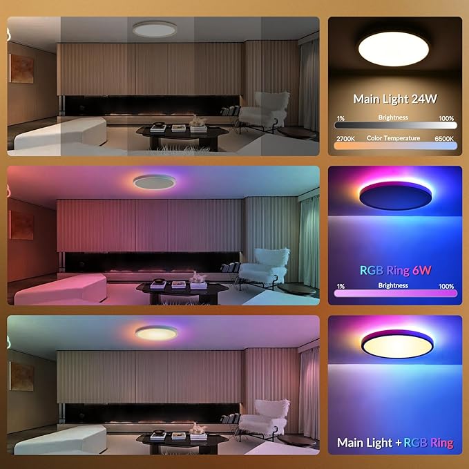 2 Pack Smart RGB LED Ceiling Lights WiFi Remote Alexa Google Flush Mount