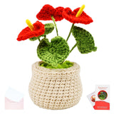 Crochet Flowers Red Anthurium, Emotional Support Crochet Gifts For Women, Office Gifts For Coworkers, Boss, Friend, Desk Decor For Graduation, New Home, New Job, Opening, Valentines, Birthday