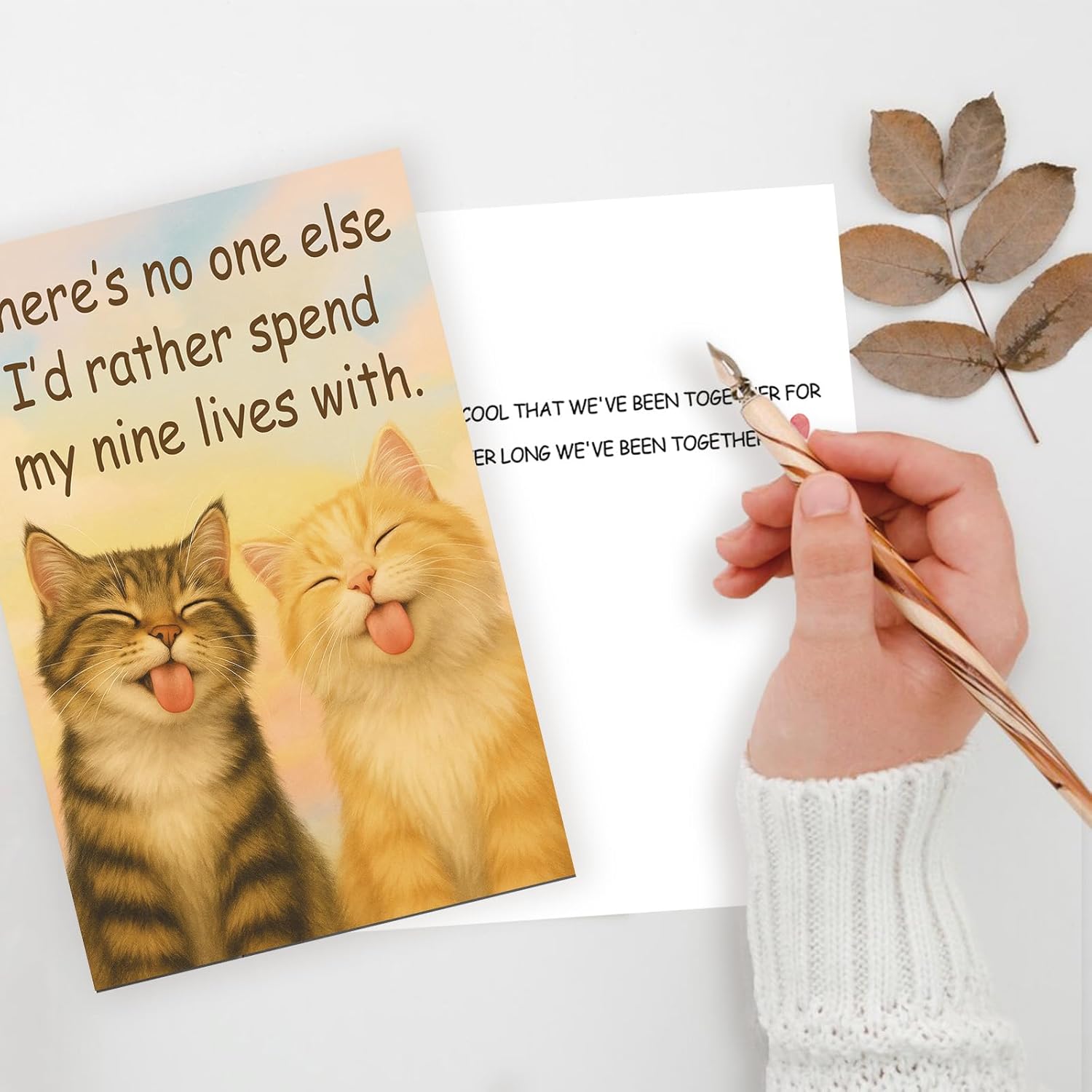 Funny Valentine’S Day And Anniversary Card Gift For Women Men – Cute Cat-Themed Romantic Love Card For Couples, Husband, Wife, Boyfriend, Or Girlfriend, Him Her