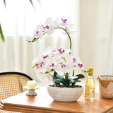 19" H Phalaenopsis Faux Orchid Plant Silk Orchid Centerpiece Artificial Floral Arrangement In Ceramic Pot (White)
