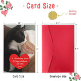 Funny Cat Valentines Day Gifts For Him Her, Birthday Card For Men Women, Sweet Anniversary Cards Cat Lovers