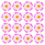Hawaiian Hibiscus Flowers, 16 Pack Artificial Flowers Hair Clip Diy Foam Hibiscus Flower For Tabletop Decoration Party Favors Supplies, White/Rose Red