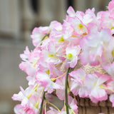 2 Pack /70Inch/5.9Ft Artificial Cherry Blossom For Hanging Vines Silk Flower Garland For Wedding Party Pink Wall Decor Japanese Decoration Light Pink (Smaill Size)