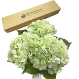 3 Pcs Light Green Artificial Hydrangea Flowers 21" Long Stems Real Touch Faux Hydrangeas For Home Decor Wedding Party Flower Arrangement