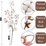 5 Pack Cotton Stems, 50Pcs Cotton Flower Bolls, 20 Inch Cotton Branch, Natural Cotton Floral Plant Stick For Farmhouse Decor, Vase Fillers