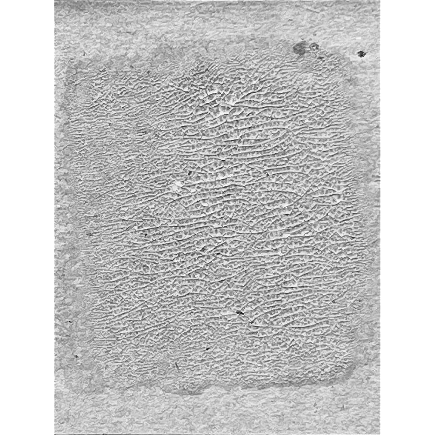 Tim Holtz - Ranger Distress CRCKL Paint TRANSLUCEN, Translucent, 3