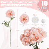 Artificial Chrysanthemum Flowers Ball Flowers,10Pcs Large Realistic Fake Mums Silk Plants With Stems For Wedding Home Christmas Floral Arrangement Halloween Table Centerpiece (Champagne)