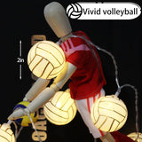 Volleyball Decorations String Lights, Timer Battery Operated 5.5Ft 10Led Room Decor,Volleyball Ornaments For Christmas T