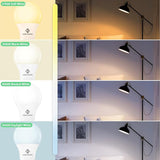 24 Pack A19 LED Light Bulbs 8W 60W Equivalent 5000K Daylight 800 Lumens E26 Non-Dimmable ETL UL Listed