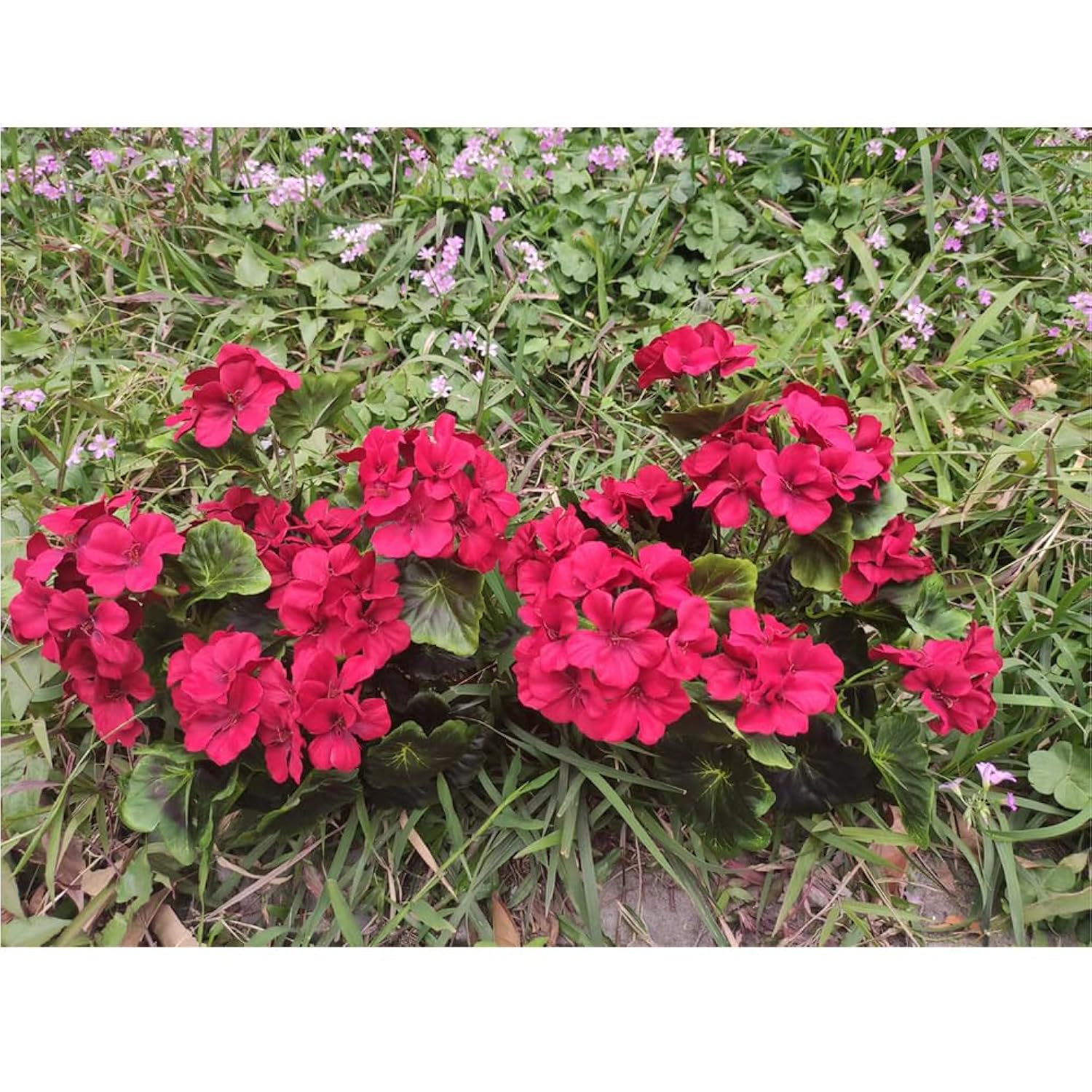 8 Bunches Artificial Geranium Silk Flower Bush Red 19 Inches Faux Geranium Flowers Plant For Outdoor Planter Home Patio Garden Decoration
