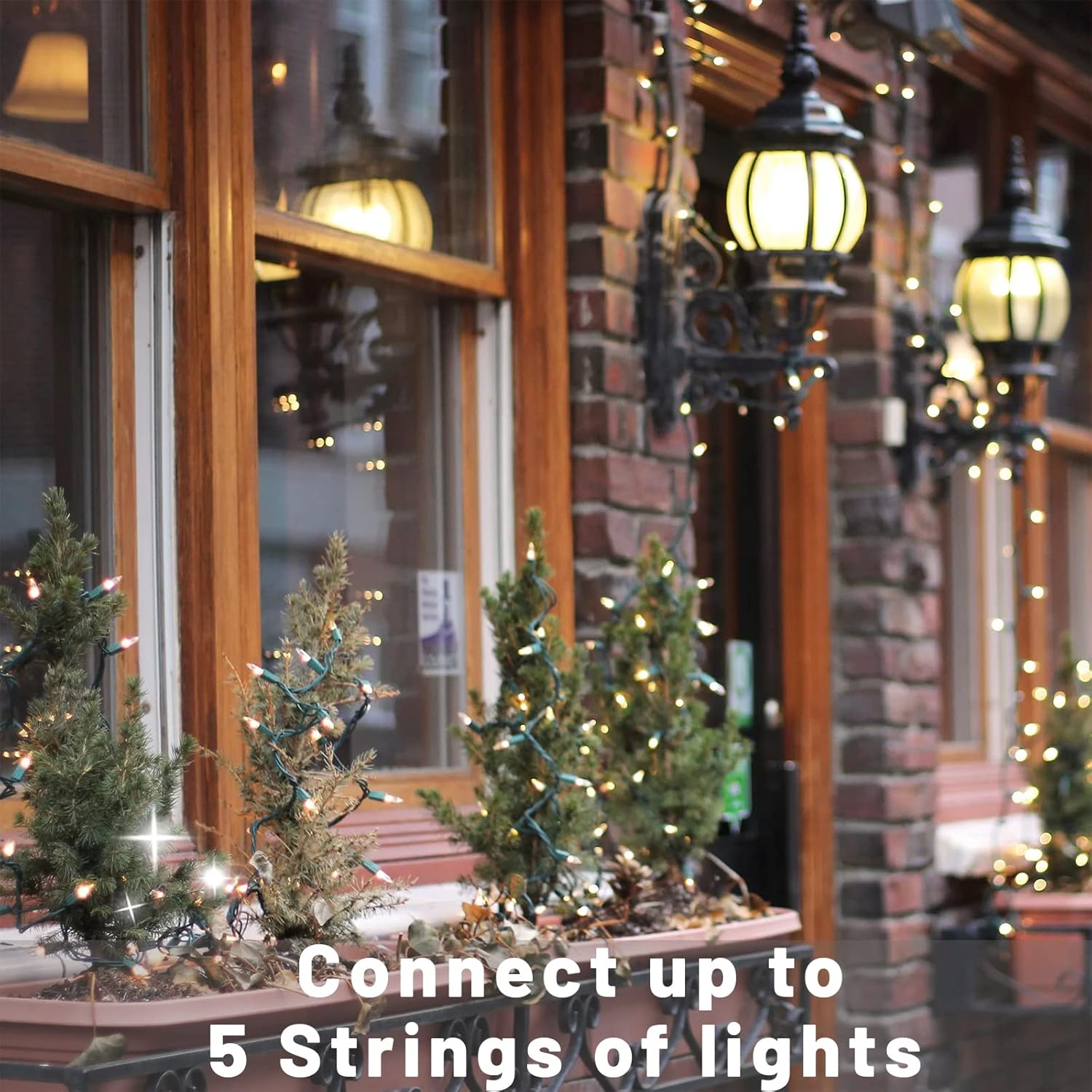 Christmas Lights For Tree 20Ft 100 Count Mini Lights Green Wire Christmas Tree Lights Waterproof Incandescent Bulb For I