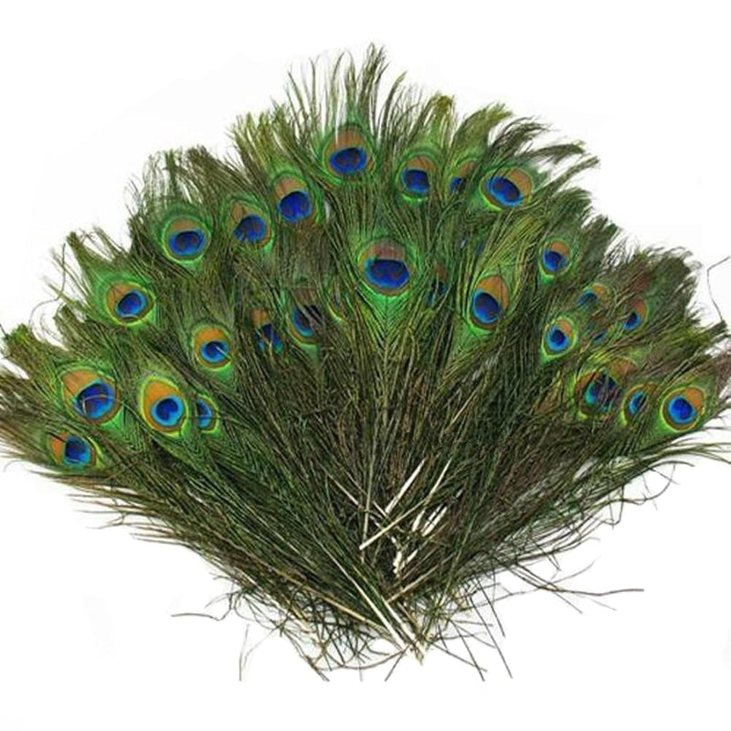 Beautiful Natural Peacock Feathers Eye Peacock Tail Feathers 10"-12" Pack Of 2