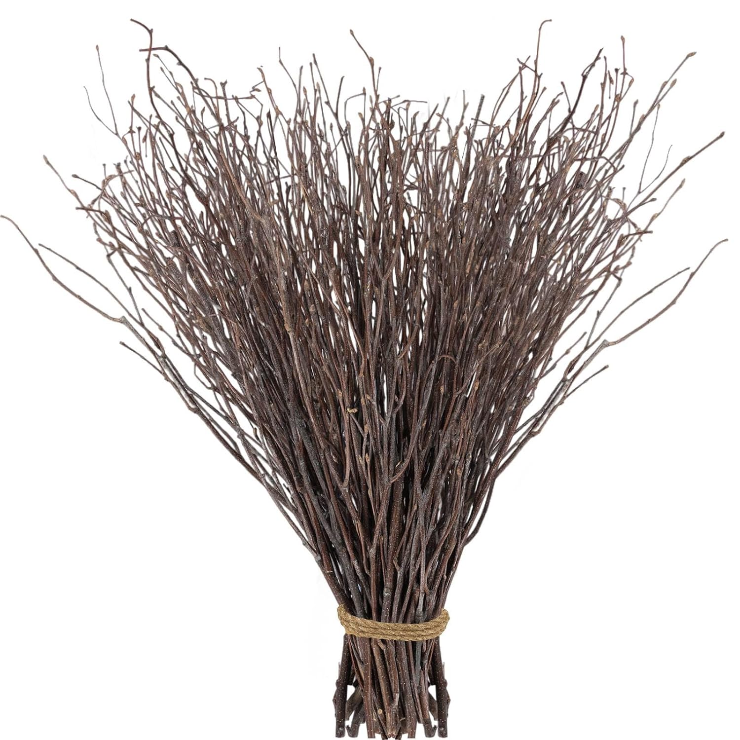 60Pcs Real Dried Birch Twigs Branches - 16” Natural Decorative Birch Branches For Easter Vases, Birch Sticks For Diy, Centerpiece, Floral Arrangment, Twig Wreath, Rustic Home Decor