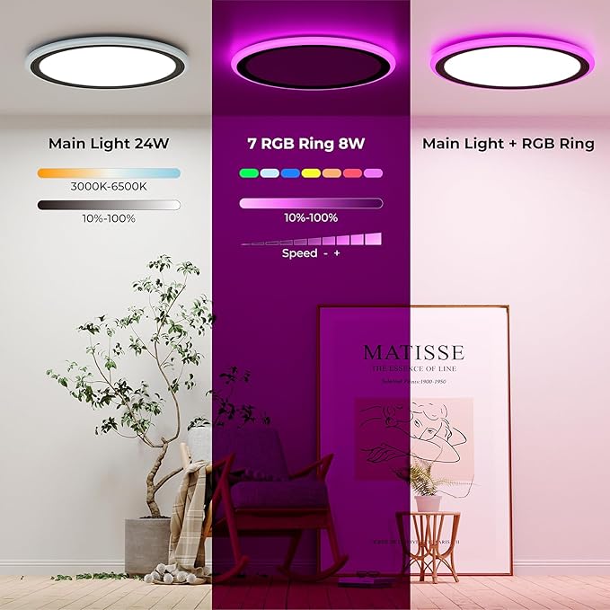 13 Inch LED Ceiling Light with Remote Color Changing Black Flush Mount Fixture