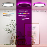 13 Inch LED Ceiling Light with Remote Color Changing Black Flush Mount Fixture