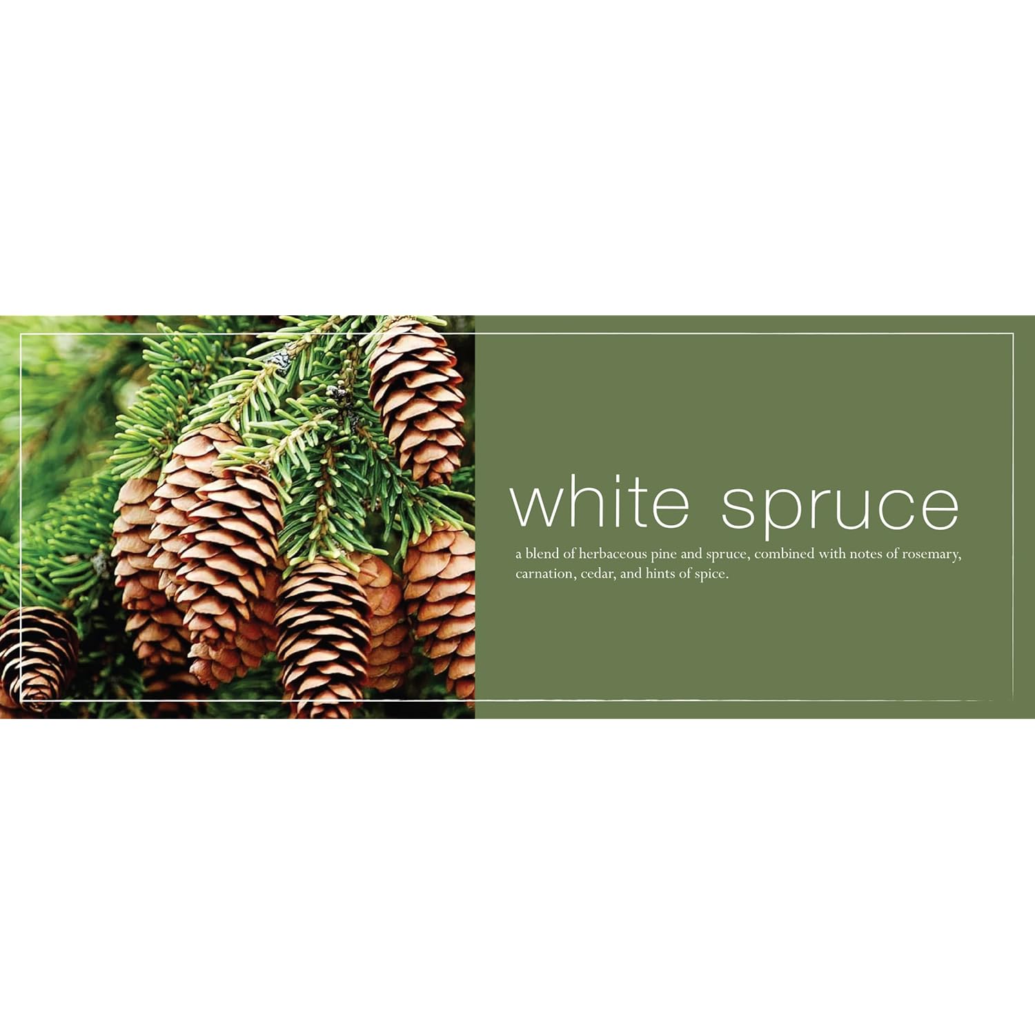 Soy Candle 2.5 Oz (White Spruce)