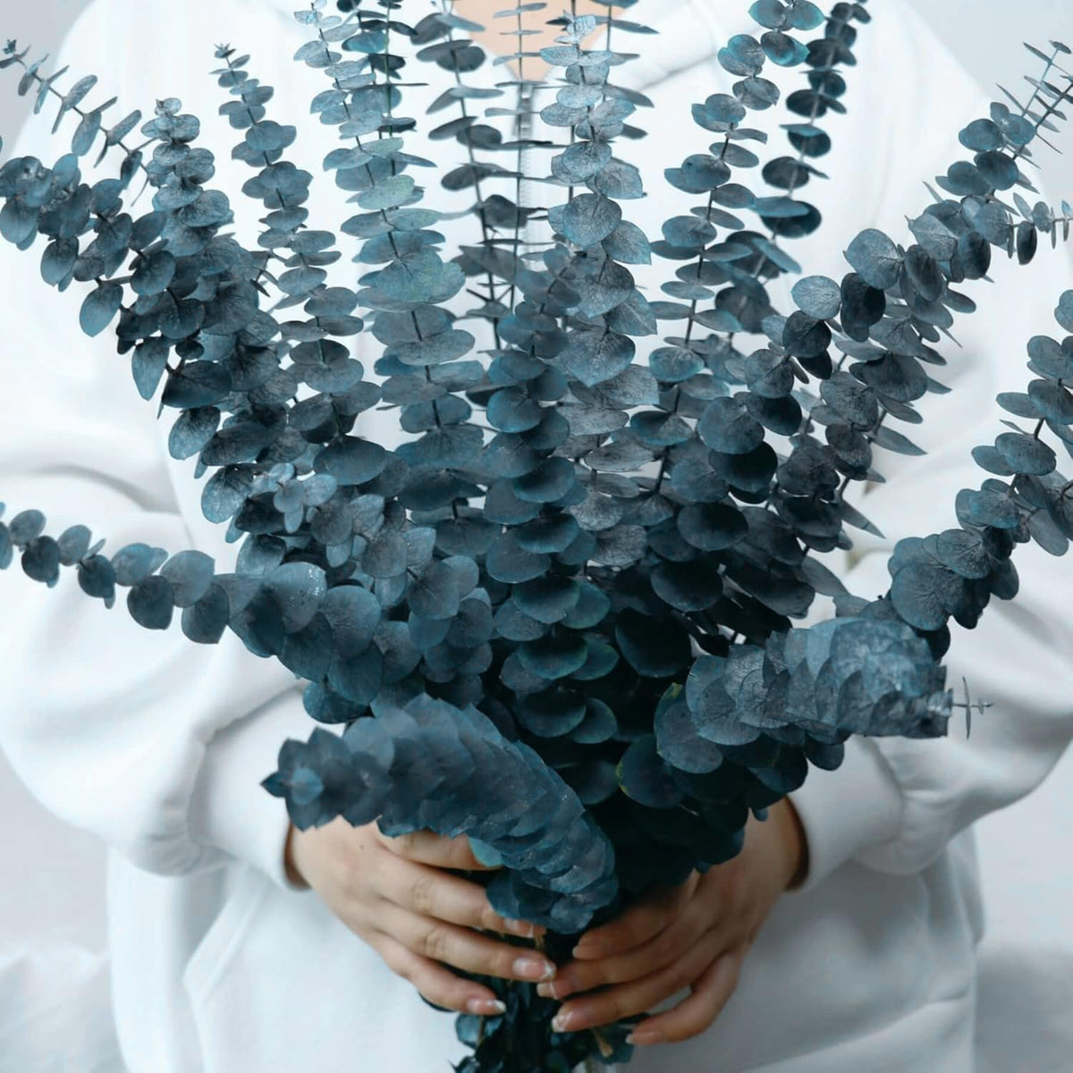17 Pcs-Dark Teal-Dried-Preserved-Eucalyptus-Stems, 17" Real Hanging Eucalyptus For Shower, Natural Live Eucalyptus Greenery Leaves For Vase Filler, Home Spa, Fragrance, Flower Decor