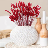 120Pcs Dried Bunny Tails Flowers Red Lagurus Ovatus Tail Dried Flowers Pampas Grass Natural Dried Floral Arrangement For Boho Decor Home Wedding Diy Farmhouse Table Christmas Halloween (17")