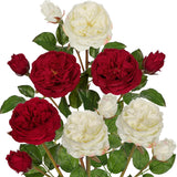 Real Touch Artificial Roses (Set Of 6) – 23.6" Long Stem White And Burgundy Garden Roses – Lifelike Faux Silk Flowers For Wedding Bouquets, Home Décor, Centerpieces