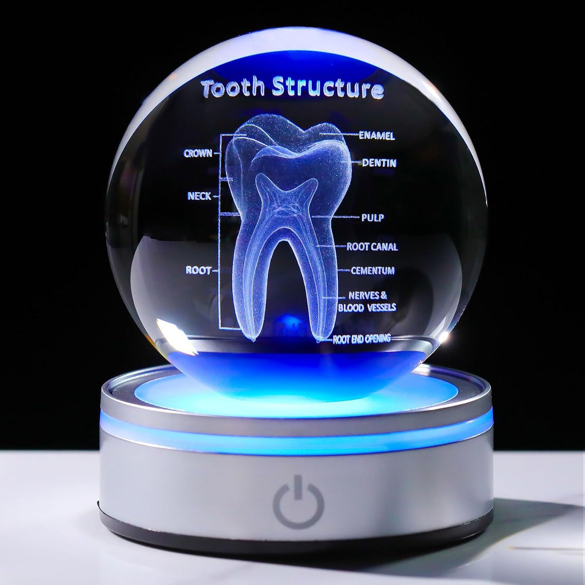 Tooth Model 3D Crystal Ball Dental Gifts For Women Men, Dentist Hygienist Present Office Decor With Led Base, Laser Etched Figurine Tooth Gift For Dental Student On Graduation Christmas