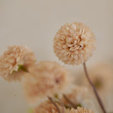 Artificial Chrysanthemum Flowers Valentines Day Decoration, 10 Stems Faux Silk Pompon Mum Balls With Bendable Stems, Fall Wedding Centerpieces Decor, Diy Bouquet Fillers(Beige)