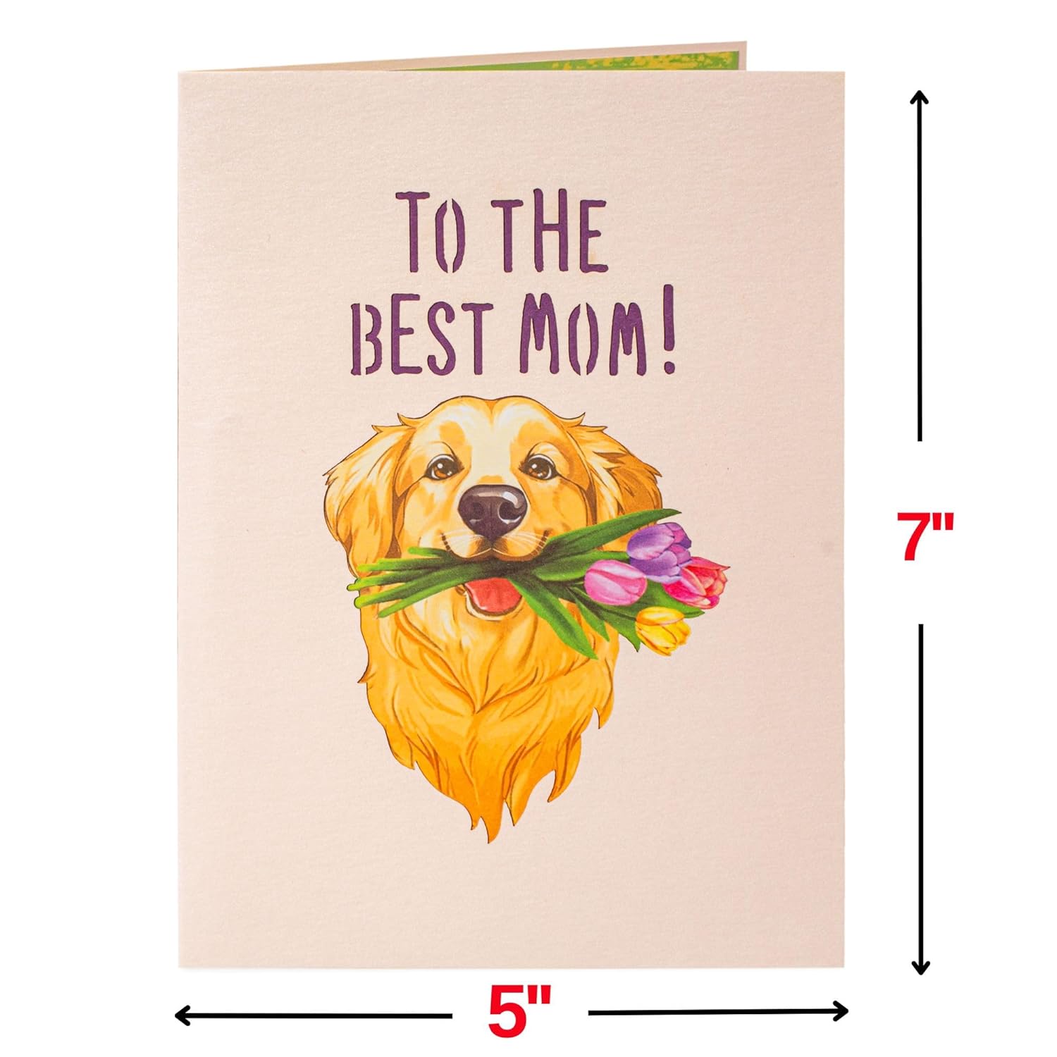 3D Pop Up Mothers Day Card, Happy Mother'S Day Dog, For Mom, Wife - 5" X 7" Cover - Includes Envelope And Note Tag