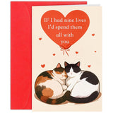 Cats Valentines Day Card Funny Cat Valentines Day Gifts For Him Her Lovely Birthday Card With Red Sprinkle Gold Envelope For Wife Husband Girlfriend Boyfriend