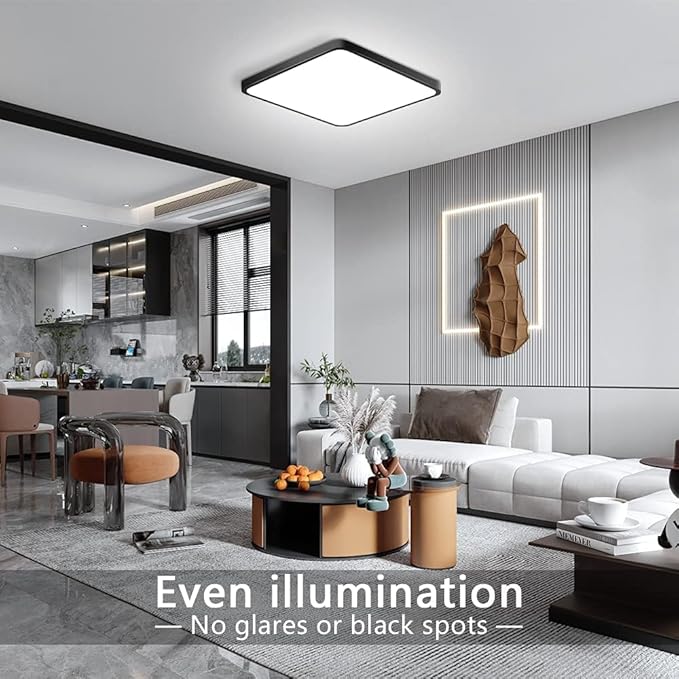 12 Inch Square LED Ceiling Light 24W Black Slim Flush Mount Fixture
