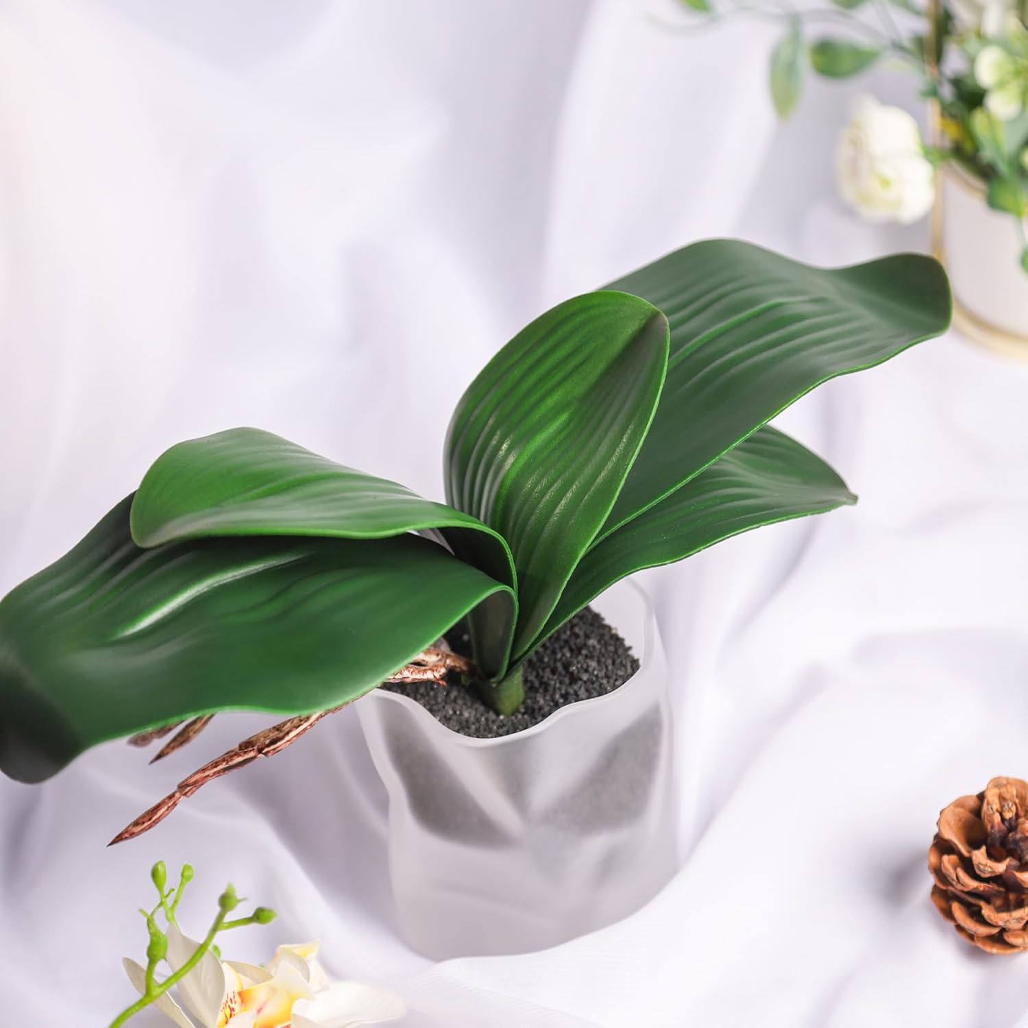 Phalaenopsis Orchid Leaves Fake Leaves Real Latex Touch Plants Arrangement