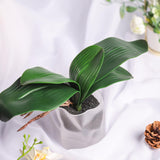 Phalaenopsis Orchid Leaves Fake Leaves Real Latex Touch Plants Arrangement