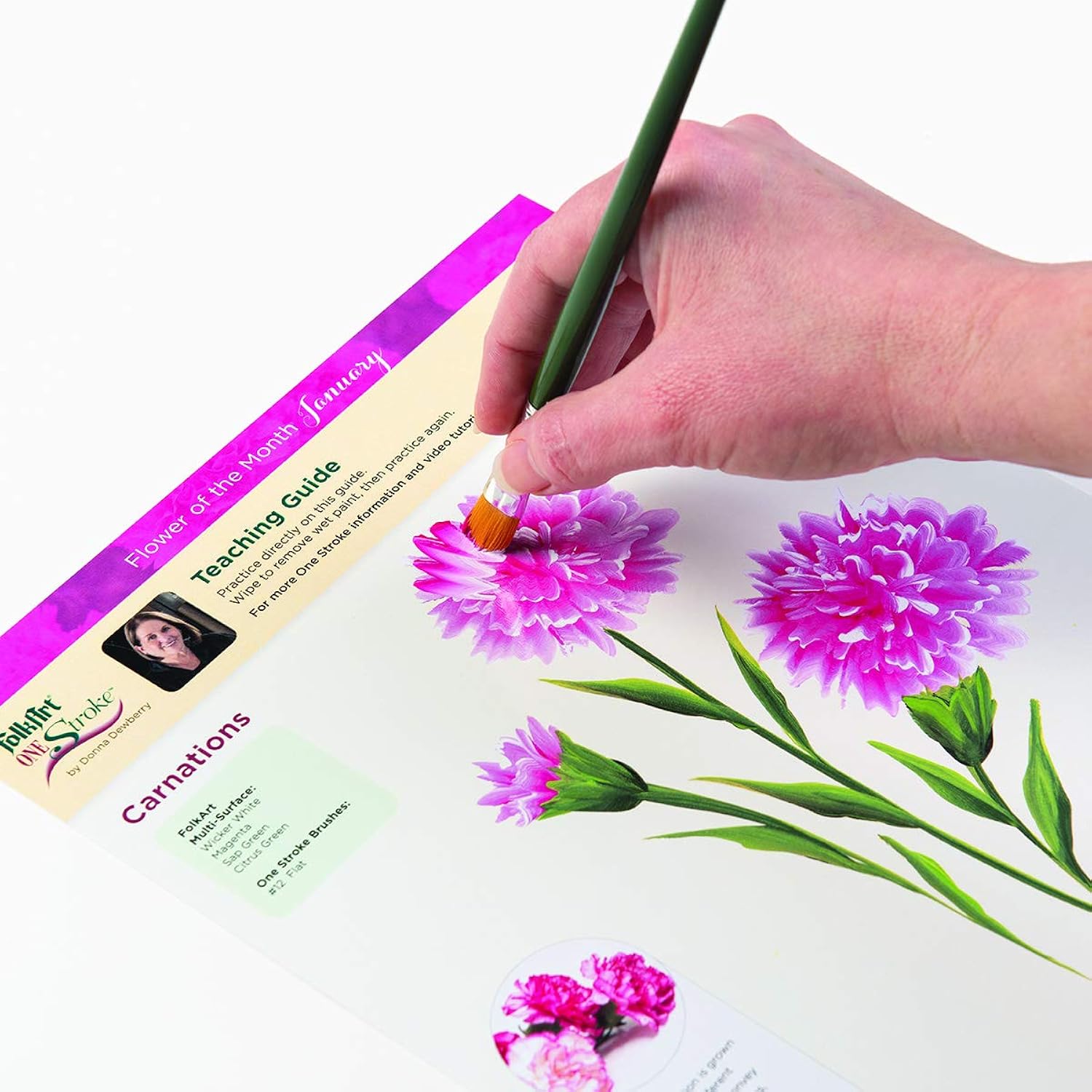 Donna Dewberry Flowers Of The Month Let'S Paint Kit, 2 Ounce