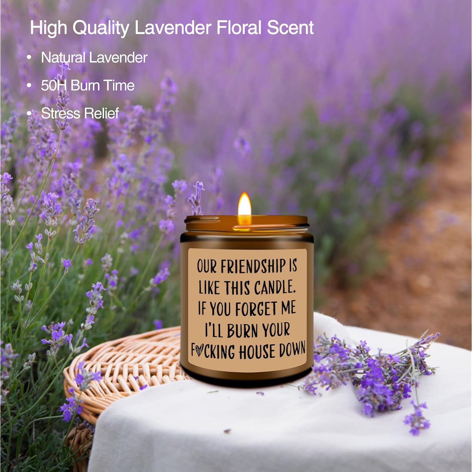 Funny Scented Soy Candle Gifts, Our Friendship F Candle - Premium Lavender Scent, Best Friend Birthday Christmas Gifts For Women Friends