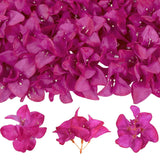 50Pcs Bougainvillea Artificial Flower Heads Hot Pink Silk Fake Flowers Bulk For Crafts Diy Wedding Corsage Cake Decor(Hot Pink)