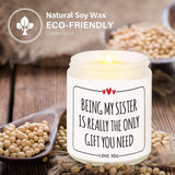 Sister Gifts, Funny Sister Candle, Gift For Sister Birthday, Christmas, Sisters Gifts From Sister Brother, Soy Wax Scented Candles