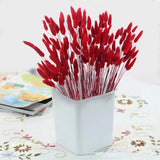 120Pcs Dried Bunny Tails Flowers Red Lagurus Ovatus Tail Dried Flowers Pampas Grass Natural Dried Floral Arrangement For Boho Decor Home Wedding Diy Farmhouse Table Christmas Halloween (17")