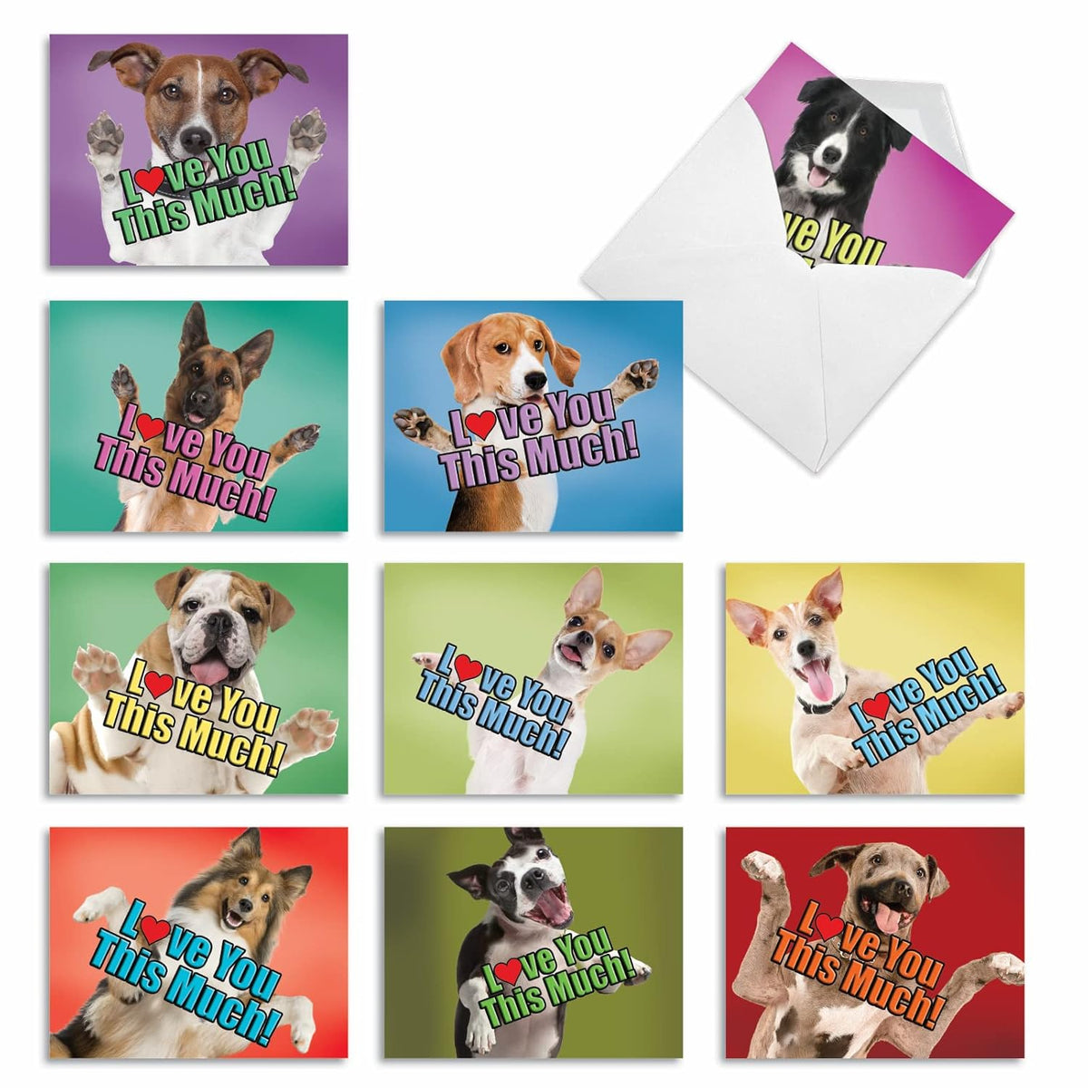 - 10 Blank Dog Cards Assorted (4 X 5.12 Inch) - Adorable Boxed Animal Note Cards For All Occasions - Dog Love You This Much M6611Ocb